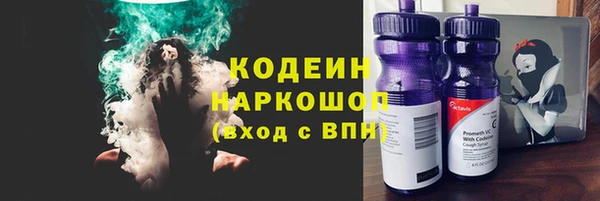 дмт Осинники