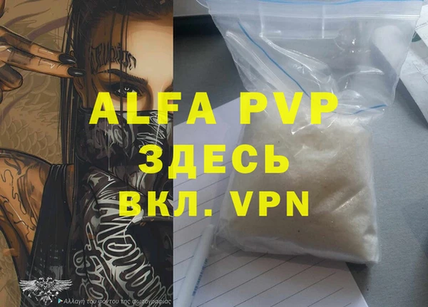 ECSTASY Чекалин