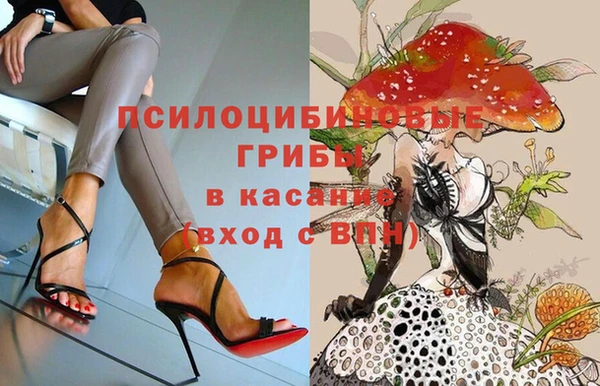 дживик Тихвин