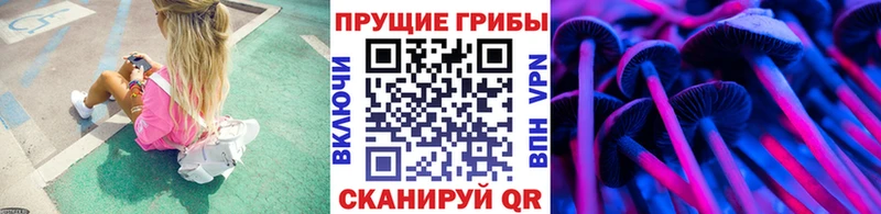 OMG ссылки  Балабаново  Псилоцибиновые грибы Psilocybe 