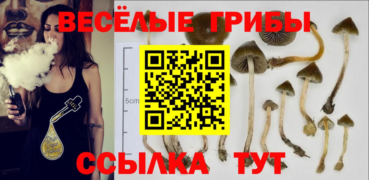Псилоцибиновые грибы Magic Shrooms Балабаново