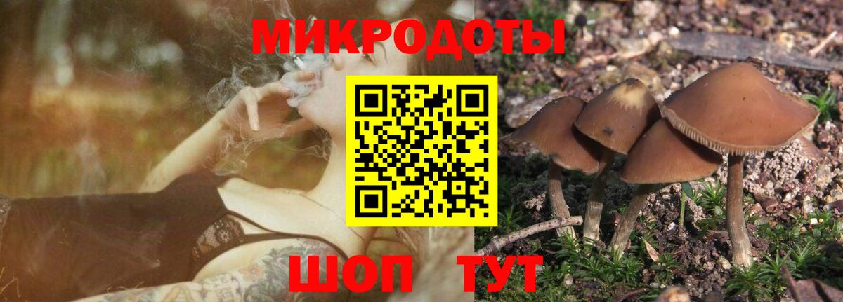 Галлюциногенные грибы ЛСД  Галлюциногенные грибы Magic Shrooms  Вход с VPN  Балабаново 