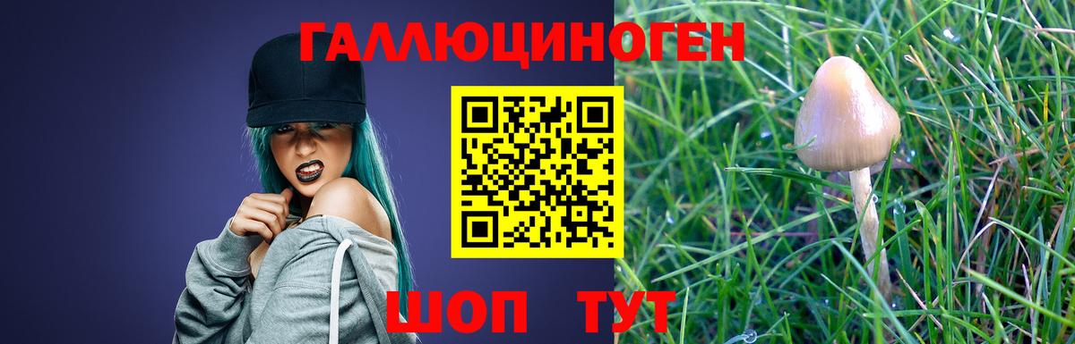 Галлюциногенные грибы Psilocybine cubensis  Балабаново 